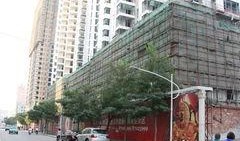 石家庄写字楼爆料案最新,揭秘背后惊人真相与法律较量